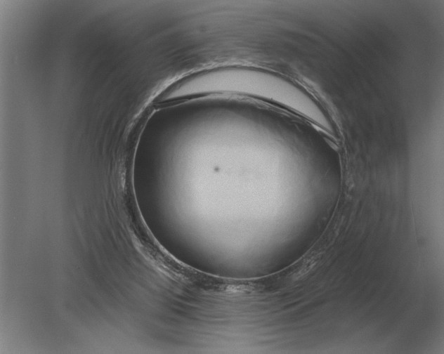 X0000080800060200701051430