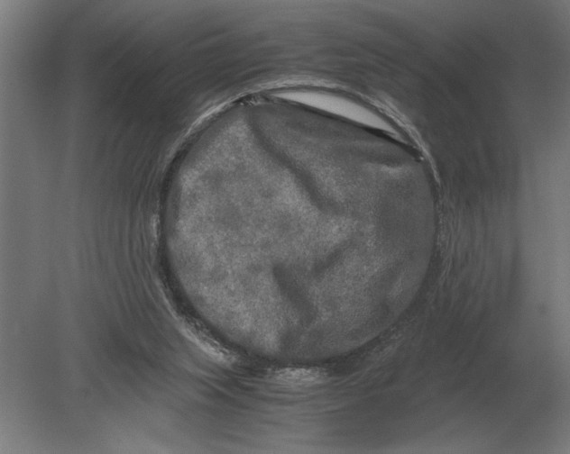 X0000080800063200701051430