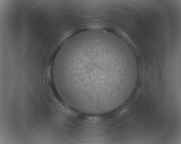 X0000080800071200701051430