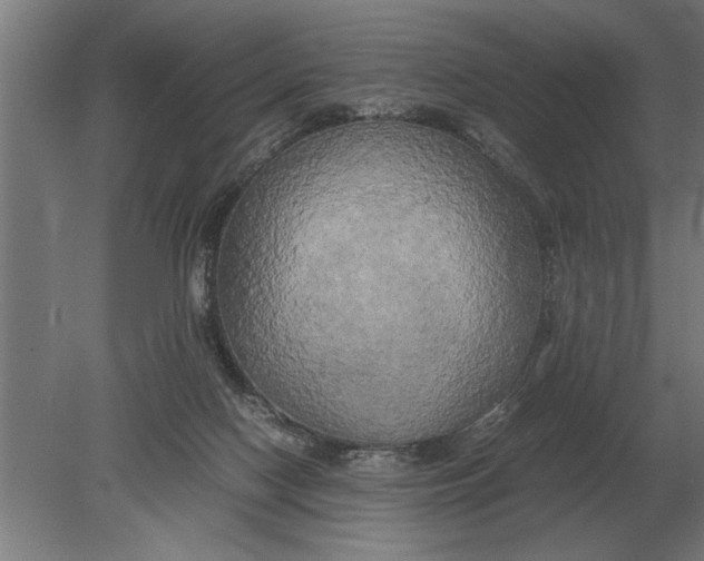 X0000080800074200701051430