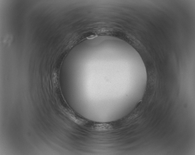X0000080800087200701051430