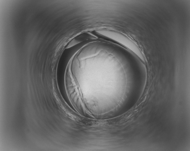 X0000080800097200701051430
