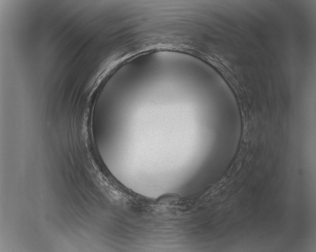 X0000080800098200701051430