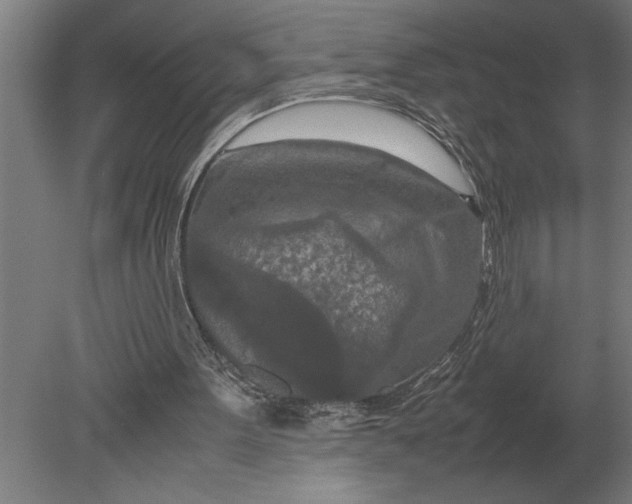 X0000080800099200701051430