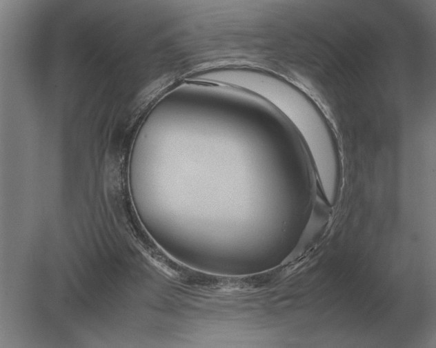 X0000080800105200701051430
