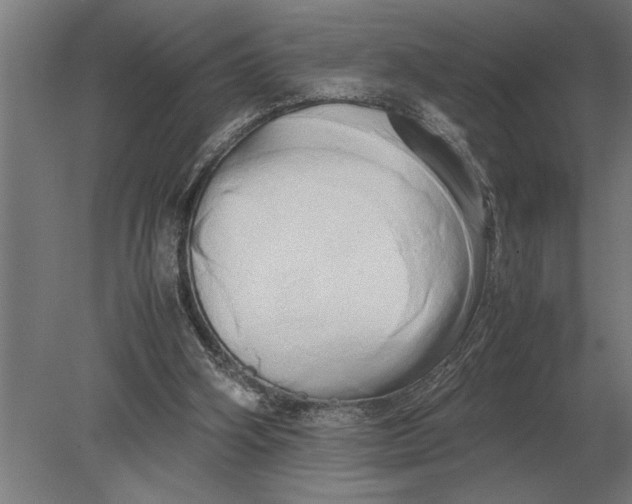 X0000080800106200701051429