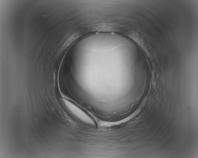 X0000080800109200701051429