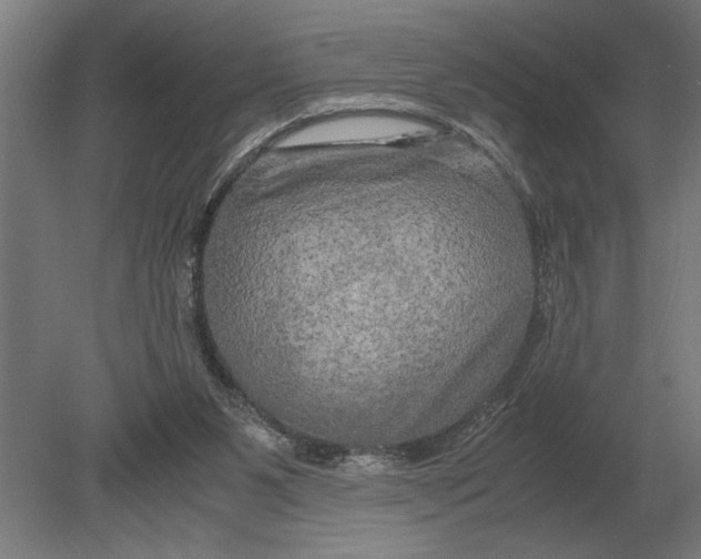 X0000080800111200701051429
