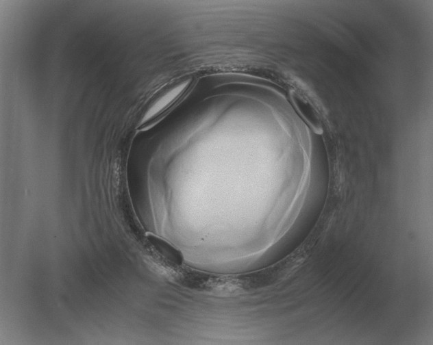 X0000080800113200701051429