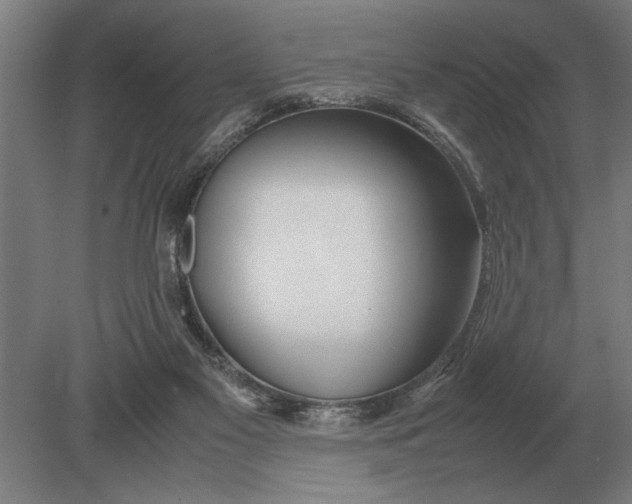 X0000080800117200701051429