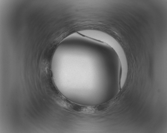 X0000080800125200701051429