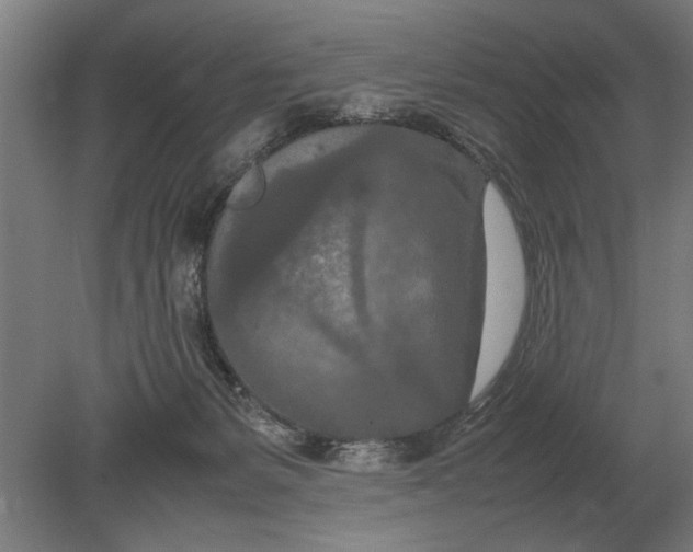 X0000080800127200701051429