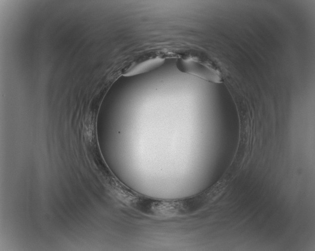 X0000080800129200701051429