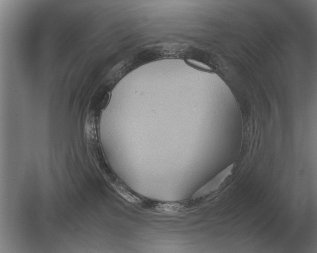 X0000080800137200701051429