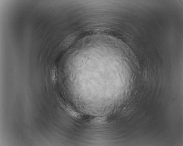 X0000080800138200701051429