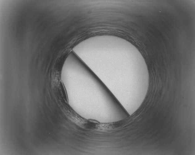 X0000080800141200701051429