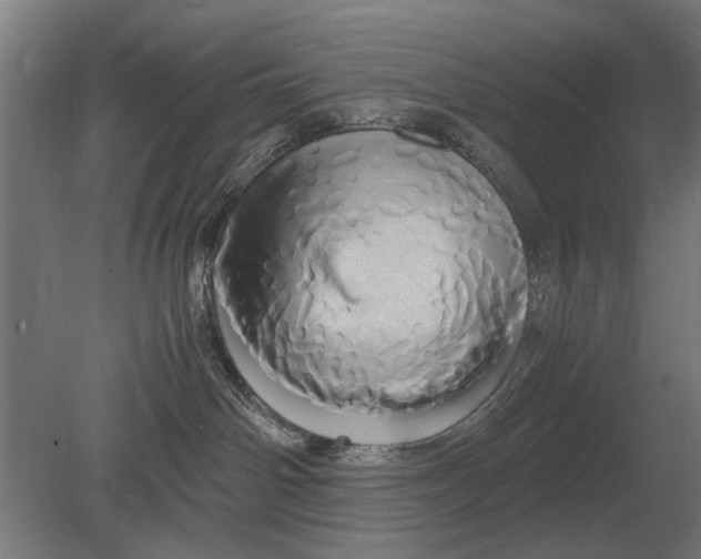 X0000080800142200701051429