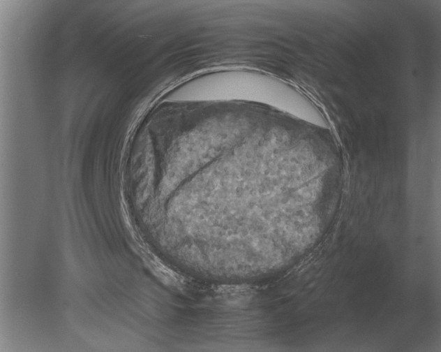 X0000080800145200701051428