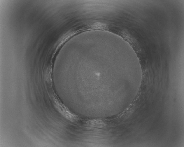 X0000080800146200701051428