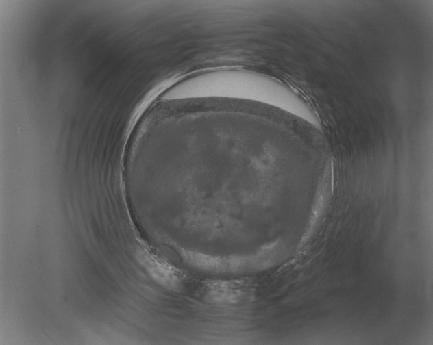 X0000080800147200701051428