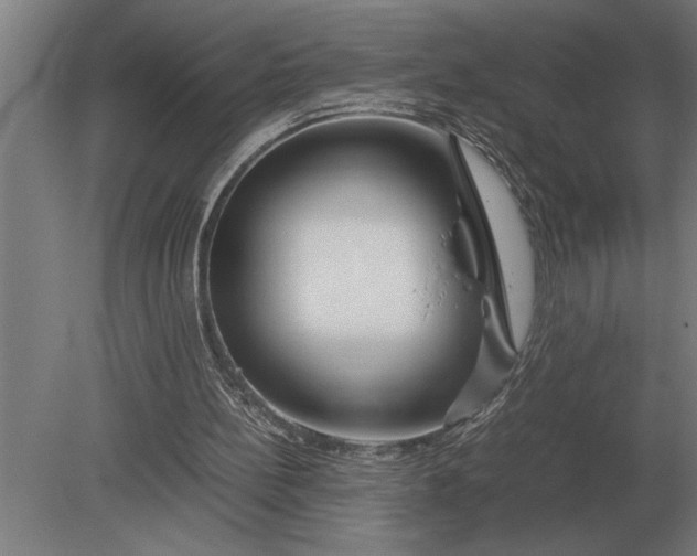 X0000080800148200701051428