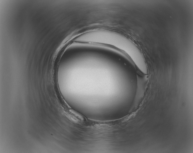 X0000080800150200701051428