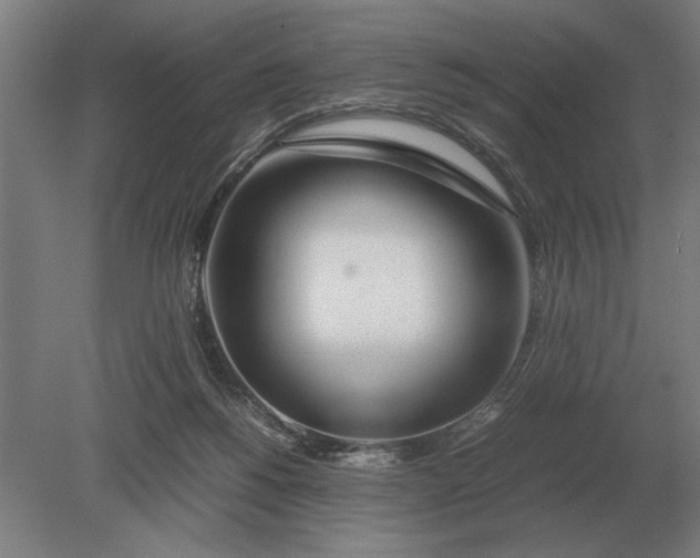 X0000080800168200701051428