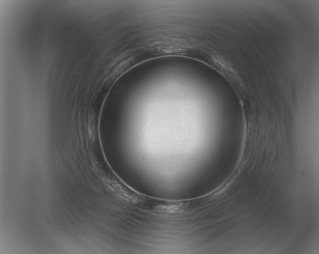 X0000080800170200701051428