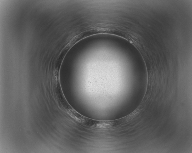 X0000080800172200701051428