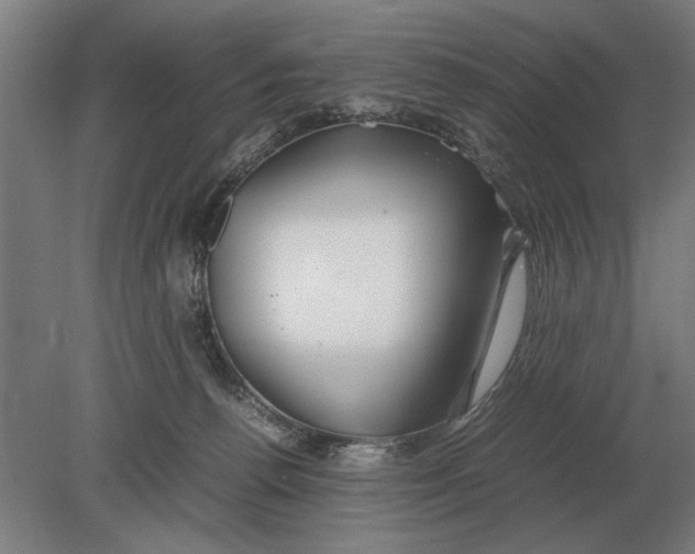 X0000080800176200701051429