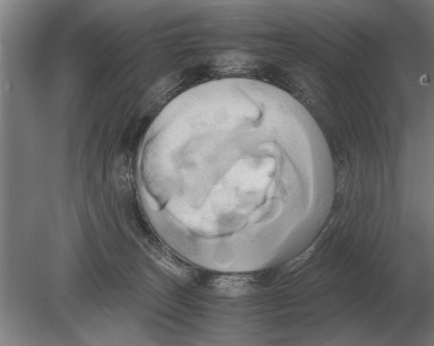 X0000080800179200701051429
