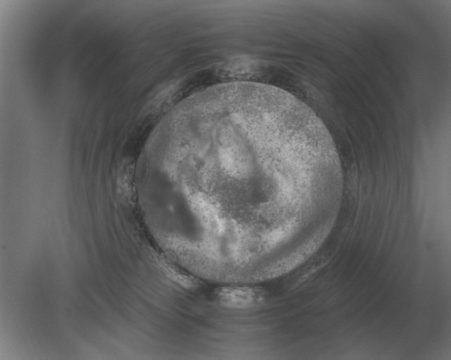 X0000080800181200701051429