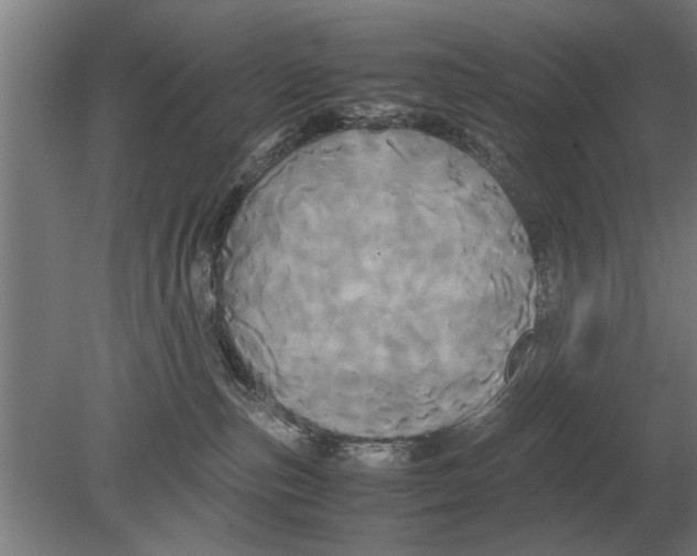 X0000080800187200701051429