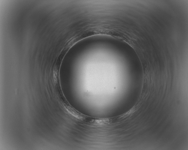 X0000080800188200701051429