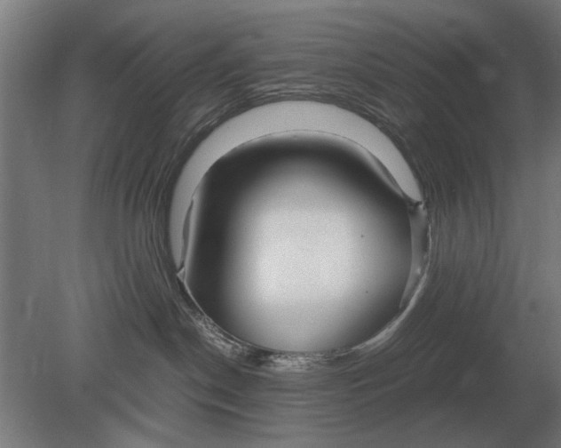 X0000080800190200701051429