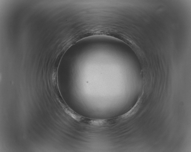 X0000080800192200701051429