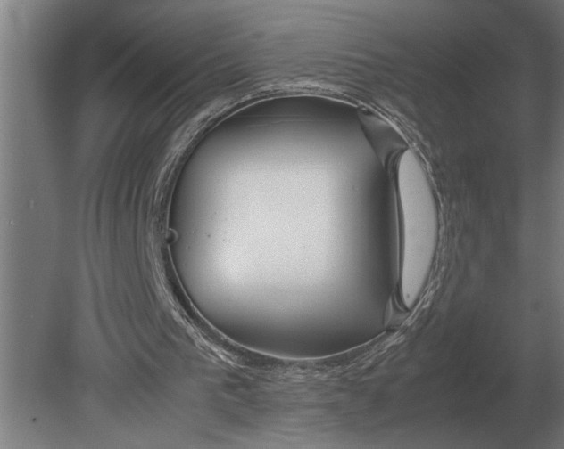 X0000080800193200701051428