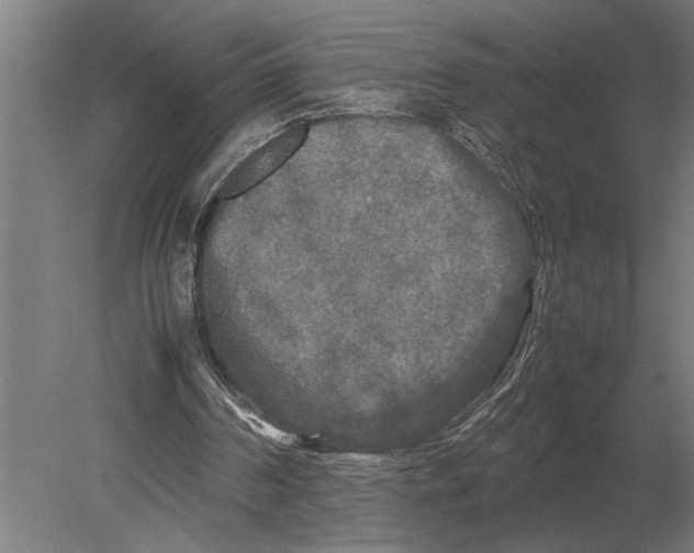 X0000080800194200701051428