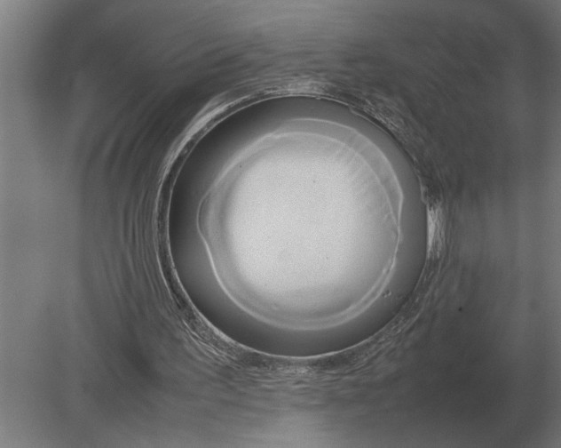 X0000080800195200701051428