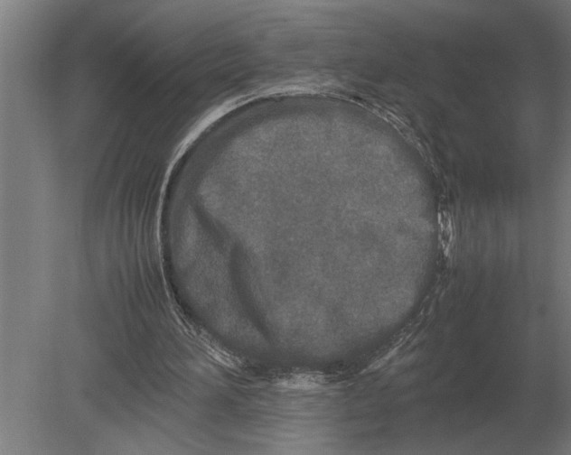 X0000080800196200701051428