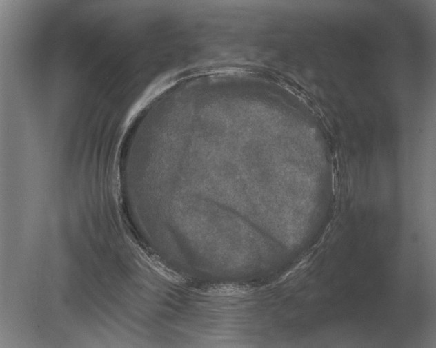 X0000080800198200701051428