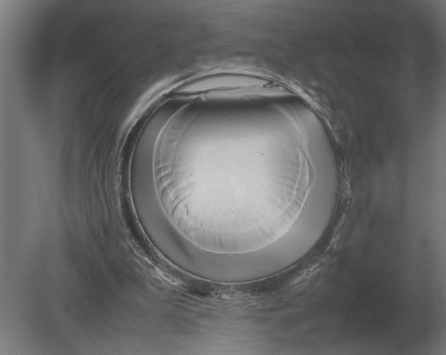 X0000080800199200701051428