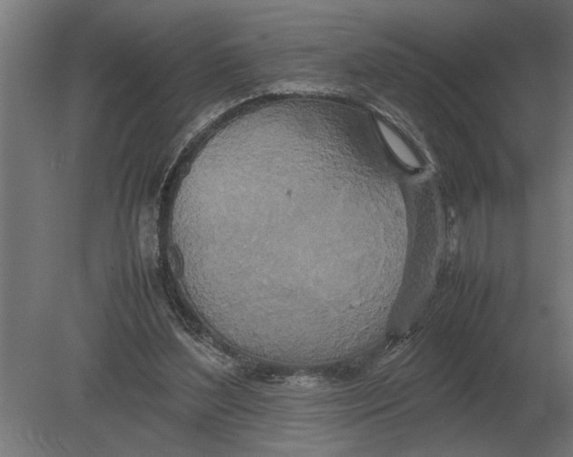 X0000080800204200701051428