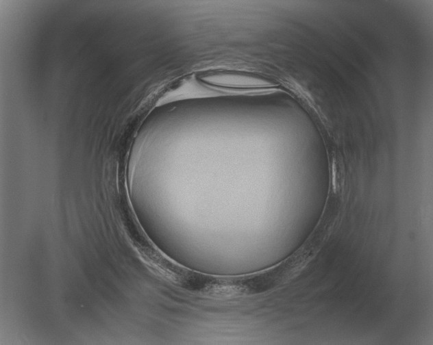 X0000080800205200701051428