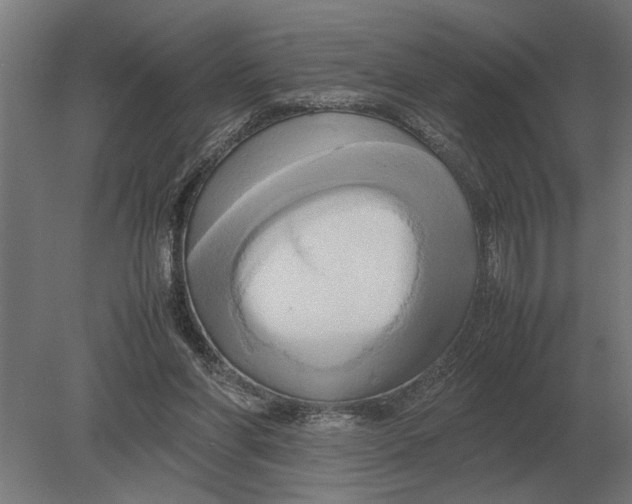 X0000080800206200701051428