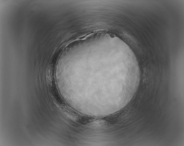 X0000080800210200701051428