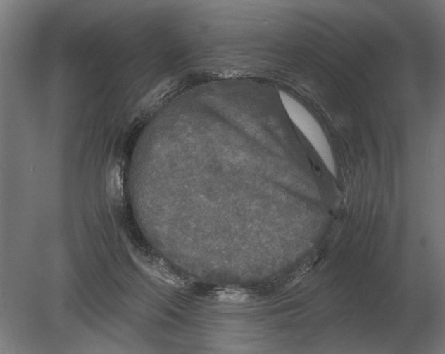 X0000080800214200701051428