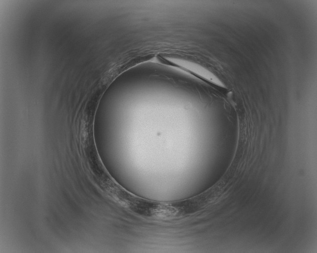 X0000080800215200701051428