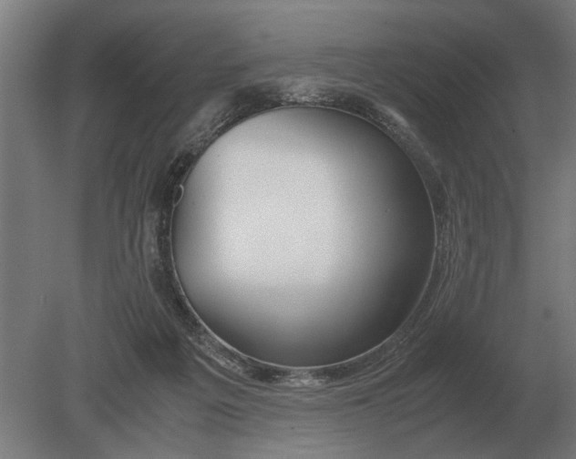 X0000080800217200701051428
