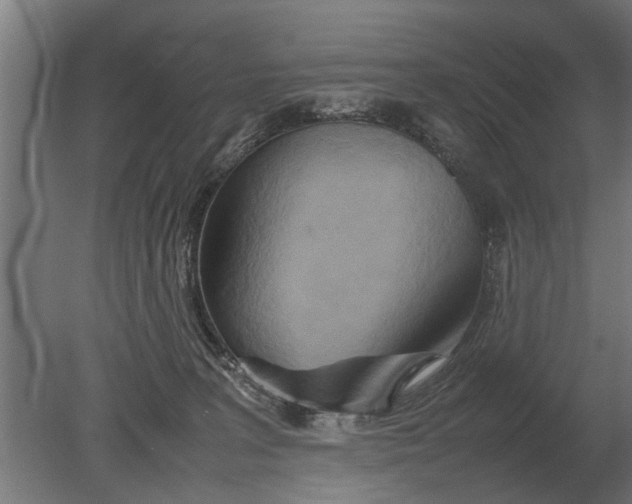 X0000080800227200701051427